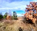 Снимка 2 — Парцел в Пловдив, с. Храбрино