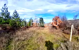 Парцел в Пловдив, с. Храбрино