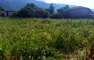 Парцел в Пловдив, с. Иганово