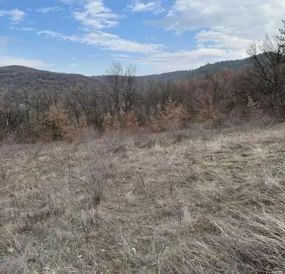 Photo 4 — Plot in Oblast Plovdiv, Izvor
