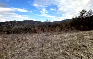 Парцел в Пловдив, с. Извор