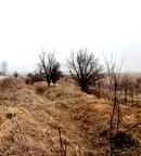 Парцел в Пловдив, с. Желязно