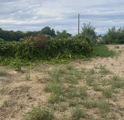Снимка 3 — Парцел в Пловдив, с. Калояново