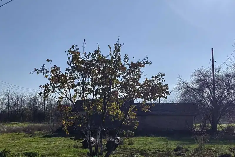 Plot in Oblast Plovdiv, Kochevo