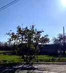 Парцел в Пловдив, с. Кочево