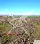 Парцел в Пловдив, с. Конуш