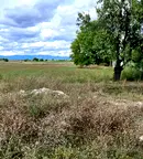 Парцел в Пловдив, с. Костиево