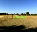 Снимка 3 — Парцел в Пловдив, с. Козаново