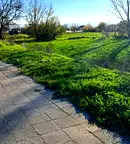 Парцел в Пловдив, с. Крислово