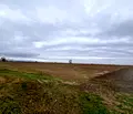 Снимка 4 — Парцел в Пловдив, с. Крислово