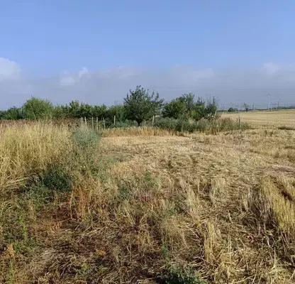 Photo 3 — Plot in Oblast Plovdiv, Krumovo