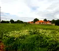 Снимка 2 — Парцел в Пловдив, с. Крумово