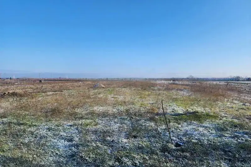 Plot in Oblast Plovdiv, Krumovo