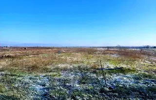 Парцел в Пловдив, с. Крумово