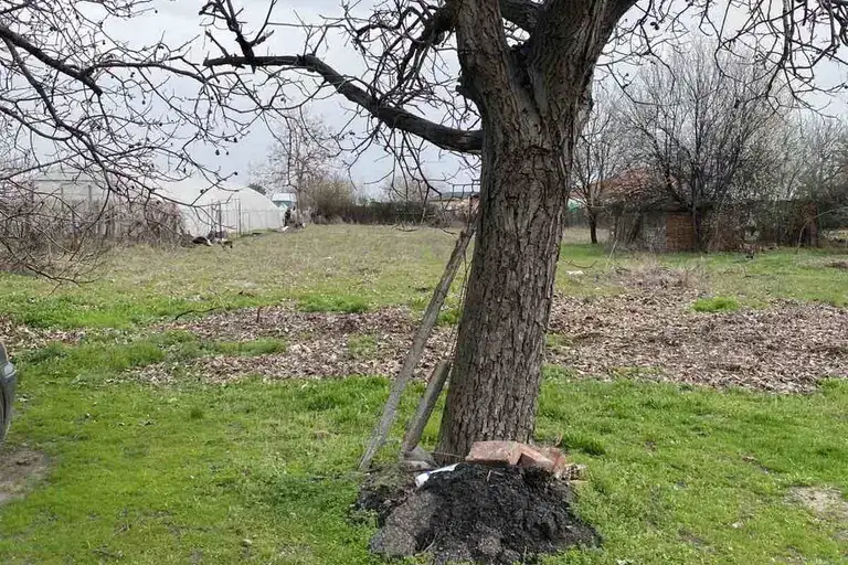 Парцел в Пловдив, с. Крумово