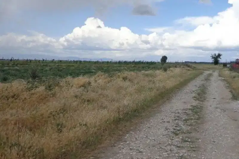 Парцел в Пловдив, с. Маноле