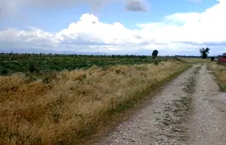 Парцел в Пловдив, с. Маноле