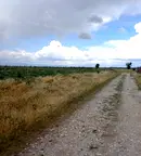 Парцел в Пловдив, с. Маноле