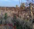 Снимка 4 — Парцел в Пловдив, с. Марково