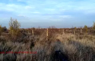 Парцел в Пловдив, с. Марково
