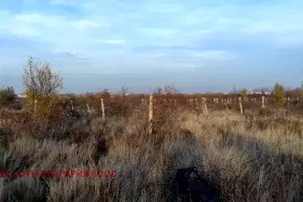 Парцел в Пловдив, с. Марково