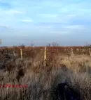 Парцел в Пловдив, с. Марково