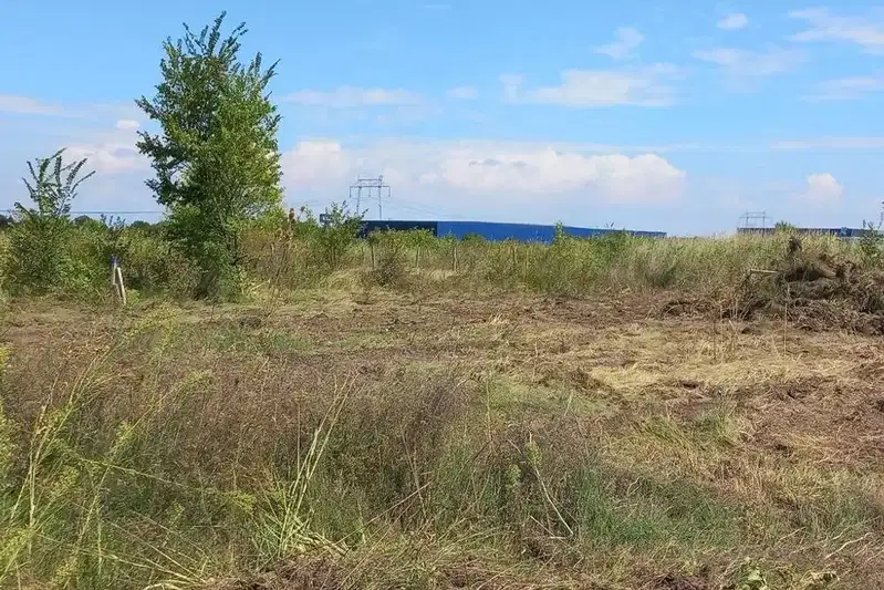 Plot in Oblast Plovdiv, Markovo