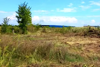 Парцел в Пловдив, с. Марково