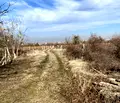 Снимка 5 — Парцел в Пловдив, с. Марково