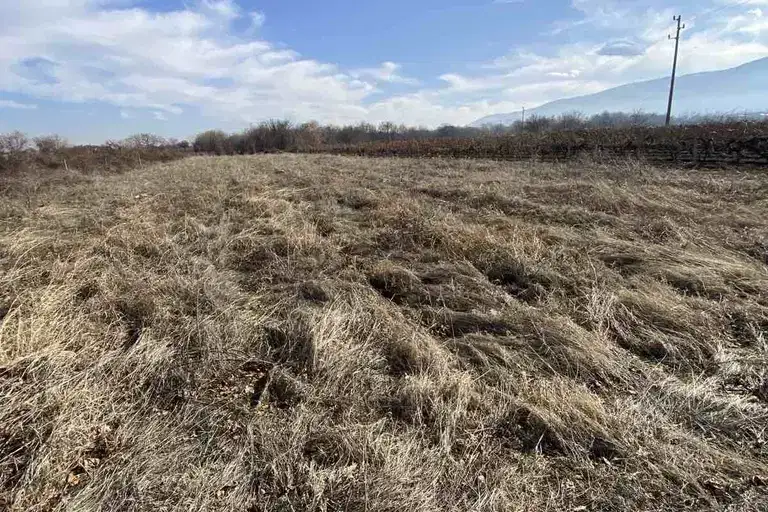 Plot in Oblast Plovdiv, Markovo