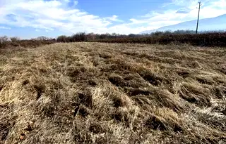 Парцел в Пловдив, с. Марково