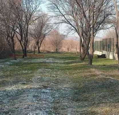 Снимка 3 — Парцел в Пловдив, с. Марково