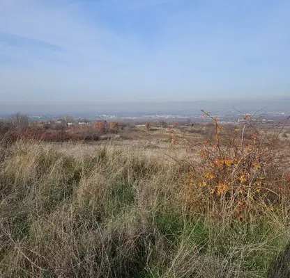 Photo 4 — Plot in Oblast Plovdiv, Markovo