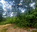 Снимка 3 — Парцел в Пловдив, с. Михилци