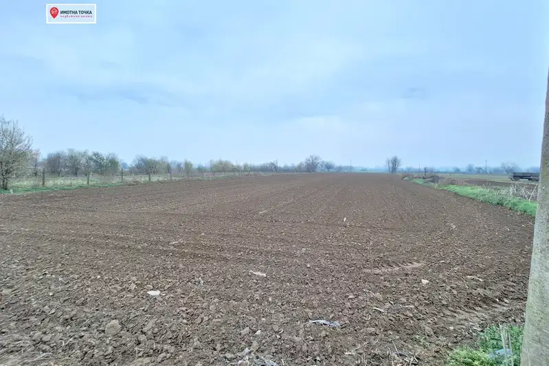Plot in Oblast Plovdiv, Milevo
