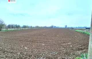 Парцел в Пловдив, с. Милево