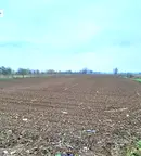 Парцел в Пловдив, с. Милево