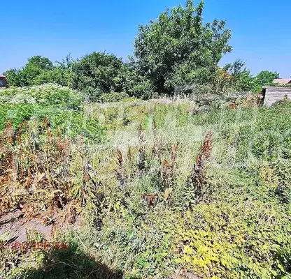Снимка 3 — Парцел в Пловдив, с. Момино село