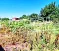 Снимка 4 — Парцел в Пловдив, с. Момино село