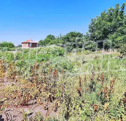 Снимка 4 — Парцел в Пловдив, с. Момино село
