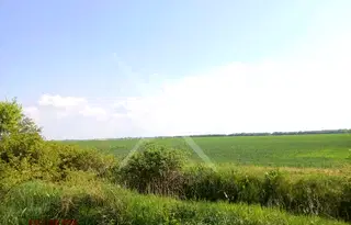 Парцел в Пловдив, с. Момино село
