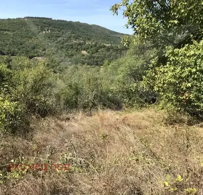 Снимка 4 — Парцел в Пловдив, с. Мраченик