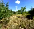 Снимка 2 — Парцел в Пловдив, с. Нови извор