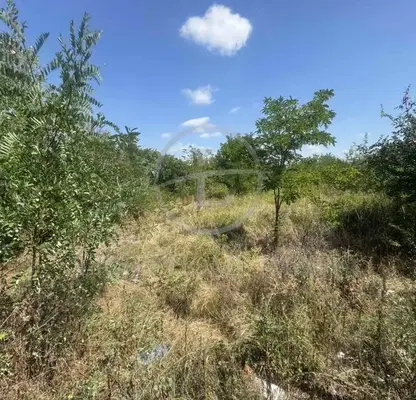 Photo 2 — Plot in Oblast Plovdiv, Novi Izvor