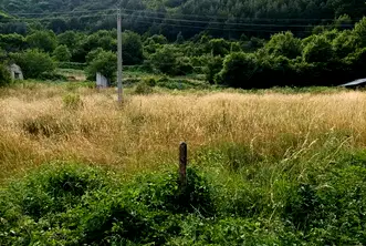 Парцел в Пловдив, с. Орешец