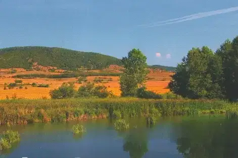 Plot in Oblast Plovdiv, Pesnopoi