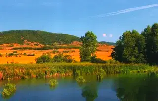 Парцел в Пловдив, с. Песнопой