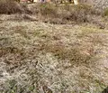 Снимка 3 — Парцел в Пловдив, с. Първенец