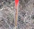 Снимка 4 — Парцел в Пловдив, с. Първенец