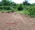 Снимка 3 — Парцел в Пловдив, с. Първенец